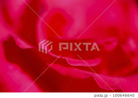 真紅のバラの花ビラ クローズアップイメージ写真 真紅のバラの花ビラ クローズアップイメージ写真 100646640
