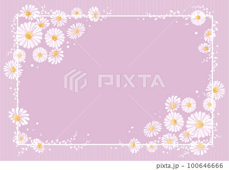 デイジー　カモミール　マーガレット春の花フレーム（枠　ピンク） 100646666