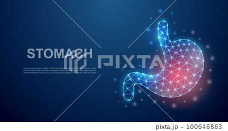 Stomach 3d low poly symbol with pain center for landing page. Stomach pain, digestive system design illustration concept. Polygonal organ illustration 100646863