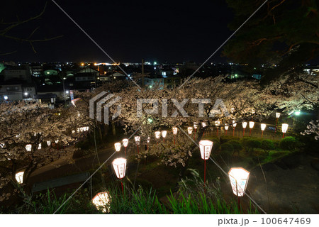 福井県 坂井市丸岡 丸岡城からの夜桜の風景 福井県 坂井市丸岡 丸岡城からの夜桜の風景 100647469