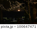 福井県　坂井市丸岡　丸岡城からの満月と桜の風景 100647471