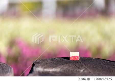 小さな可愛い赤色のおうち(ピンクの花背景) 小さな可愛い赤色のおうち(ピンクの花背景) 100647475