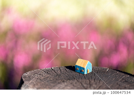 小さなかわいい青い木製のおうち(ピンクの花背景) 小さなかわいい青い木製のおうち(ピンクの花背景) 100647534