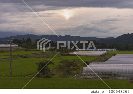 220713上野平z001 100648265