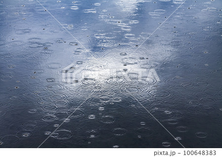 雨 100648383