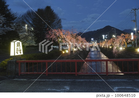 倉津川の枝垂れ桜 倉津川の枝垂れ桜 100648510