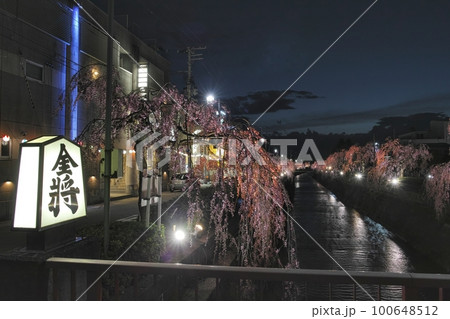 倉津川の枝垂れ桜 倉津川の枝垂れ桜 100648512