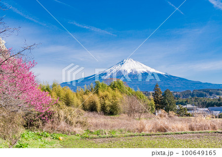 （静岡県）日本の原風景　富士宮市柚野の春 100649165