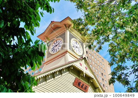 札幌時計台とライラック 札幌時計台とライラック 100649849