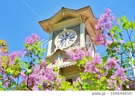 札幌時計台とライラック 100649850