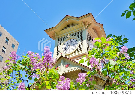 札幌時計台とライラック 100649879