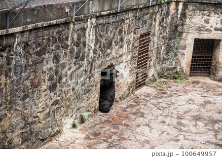 Hiking Trail In the Hangzhou Zoo. Beautiful nature Hiking Trail In the Hangzhou Zoo. Beautiful nature 100649957