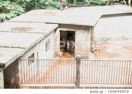 Hiking Trail In the Hangzhou Zoo. Beautiful nature Hiking Trail In the Hangzhou Zoo. Beautiful nature 100649959