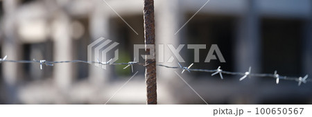 Security barbedwire fence, wire with clusters of short, sharp spikes 100650567
