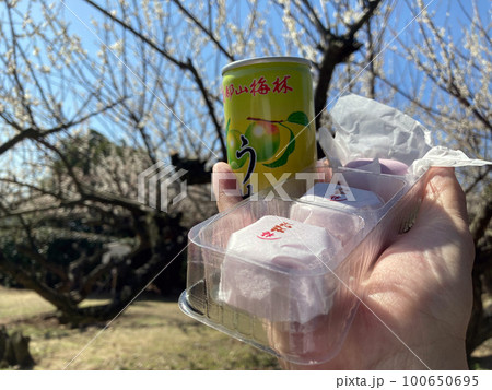 綾部山梅林 うめジュース(兵庫県 たつの市) 綾部山梅林 うめジュース(兵庫県 たつの市) 100650695