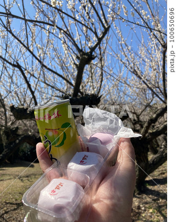 綾部山梅林 うめジュース(兵庫県 たつの市) 綾部山梅林 うめジュース(兵庫県 たつの市) 100650696