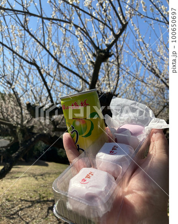 綾部山梅林 うめジュース(兵庫県 たつの市) 綾部山梅林 うめジュース(兵庫県 たつの市) 100650697