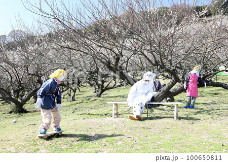 綾部山梅林 の案山子(兵庫県 たつの市) 綾部山梅林 の案山子(兵庫県 たつの市) 100650811