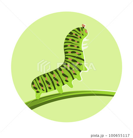 Illustration of a green caterpillar crawling on a leaf 100655117