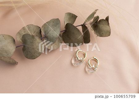 Elegant jewelry set of gold earrings with dried flower background. Jewelry set minimalist style. Handmade bijouterie concept. 100655709