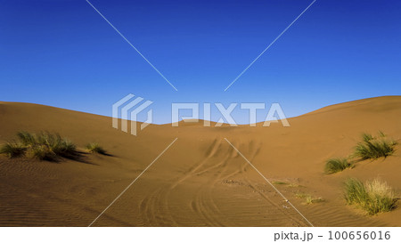 moroccan desert 100656016