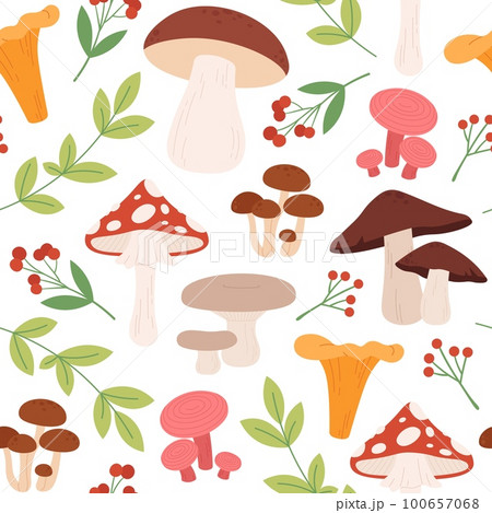 Mushroom seamless pattern, natural forest mushroom fabric print. Autumn wild harvest, retro graphic art print. Decorative racy vector texture 100657068
