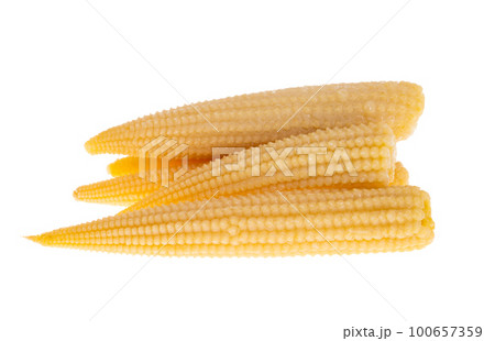 pickled corn cob isolated pickled corn cob isolated 100657359