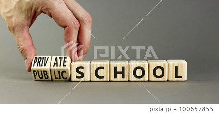 Public or private school symbol. Concept word Public school Private school on wooden cubes. Beautiful grey background. Teacher hand. Education Public or private school concept. Copy space. 100657855
