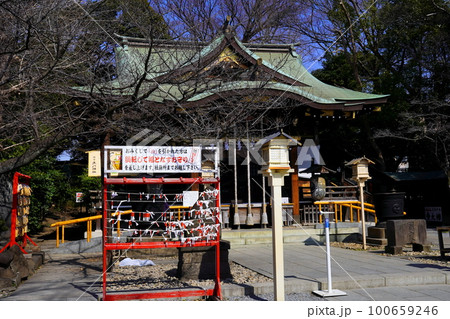 鎮守氷川神社 埼玉県川口市の写真素材 [100659246] - PIXTA