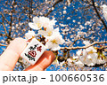 春の桜と春の麻雀牌【3月】 100660536
