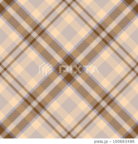 Plaid pattern vector. Check fabric texture. Seamless textile design for clothes, paper print. 100663486