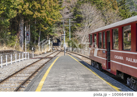 大井川鐵道井川線　接岨峡温泉駅に停車中のトロッコ列車 100664988