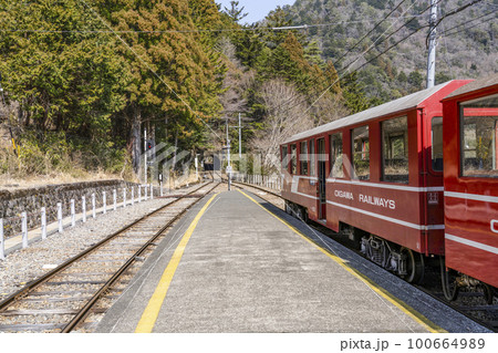 大井川鐵道井川線　接岨峡温泉駅に停車中のトロッコ列車 100664989