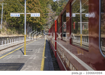 大井川鐵道井川線 接岨峡温泉駅に停車中のトロッコ列車 大井川鐵道井川線 接岨峡温泉駅に停車中のトロッコ列車 100664994