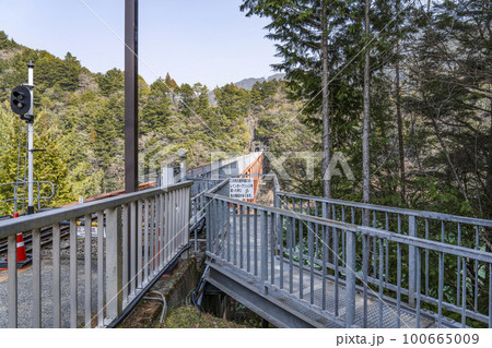 大井川鐵道井川線　鉄橋（レインボーブリッジ）の遊歩道 100665009