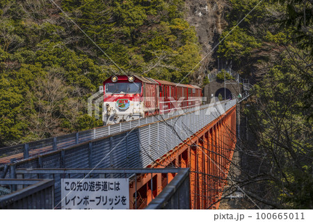 大井川鐵道井川線　鉄橋（レインボーブリッジ）を走行するトロッコ列車 100665011