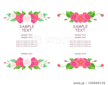 プリムラの装飾フレーム 100666156