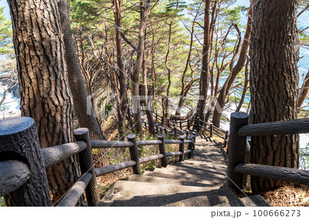 「岩手県」浪打崎への散策道 100666273