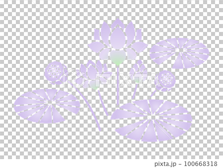 蓮花紫色漸變 100668318