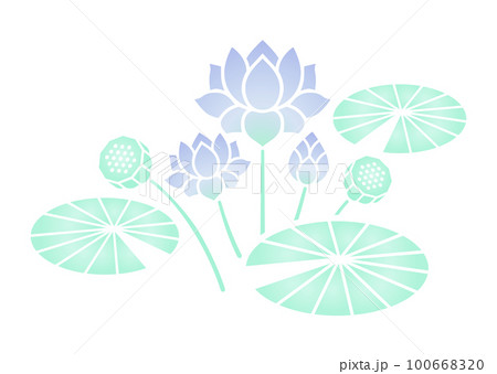 蓮の花 カラー 100668320