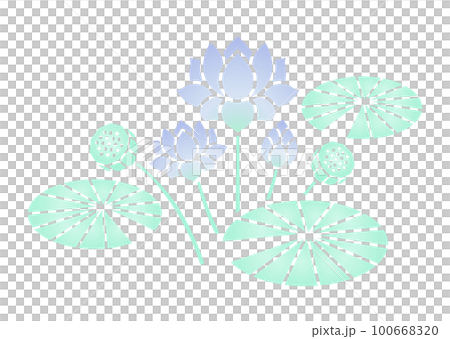 蓮の花 カラー 100668320