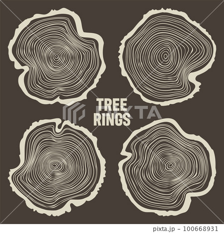 tree stump rings drawing