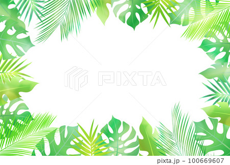 ヤシ 観葉植物 南国 背景 ヤシ 観葉植物 南国 背景 100669607