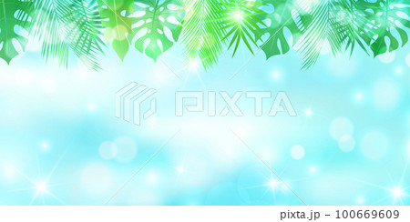 ヤシ 観葉植物 南国 背景 ヤシ 観葉植物 南国 背景 100669609