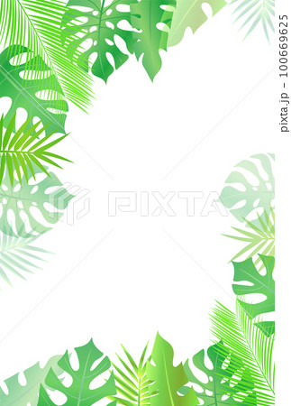 ヤシ　観葉植物　南国　背景 100669625