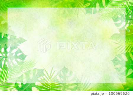 ヤシ　観葉植物　南国　背景 100669626