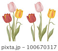 【春の花】ピンク・赤・黄色のチューリップのリアル系ベクターイラスト 100670317