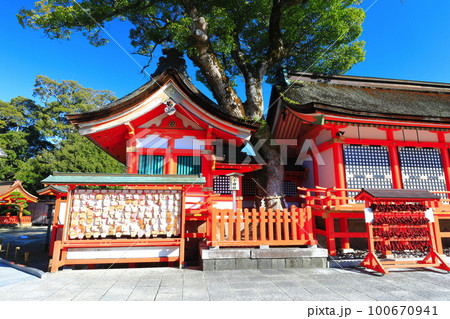 【大分県】晴天の宇佐神宮の八子神社 100670941