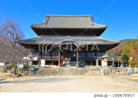 【山口県】晴天の周防国分寺金堂 【山口県】晴天の周防国分寺金堂 100670957
