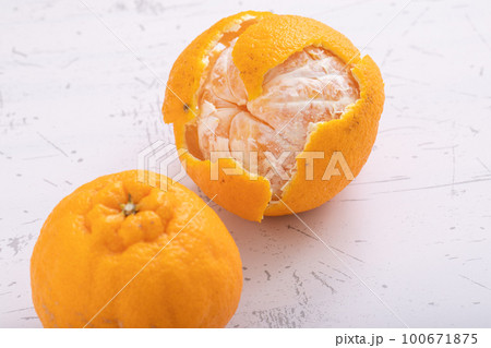 デコポン Citrus デコポン Citrus 100671875